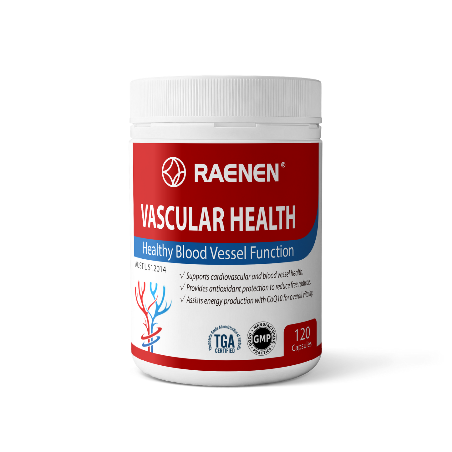 Vascular Health