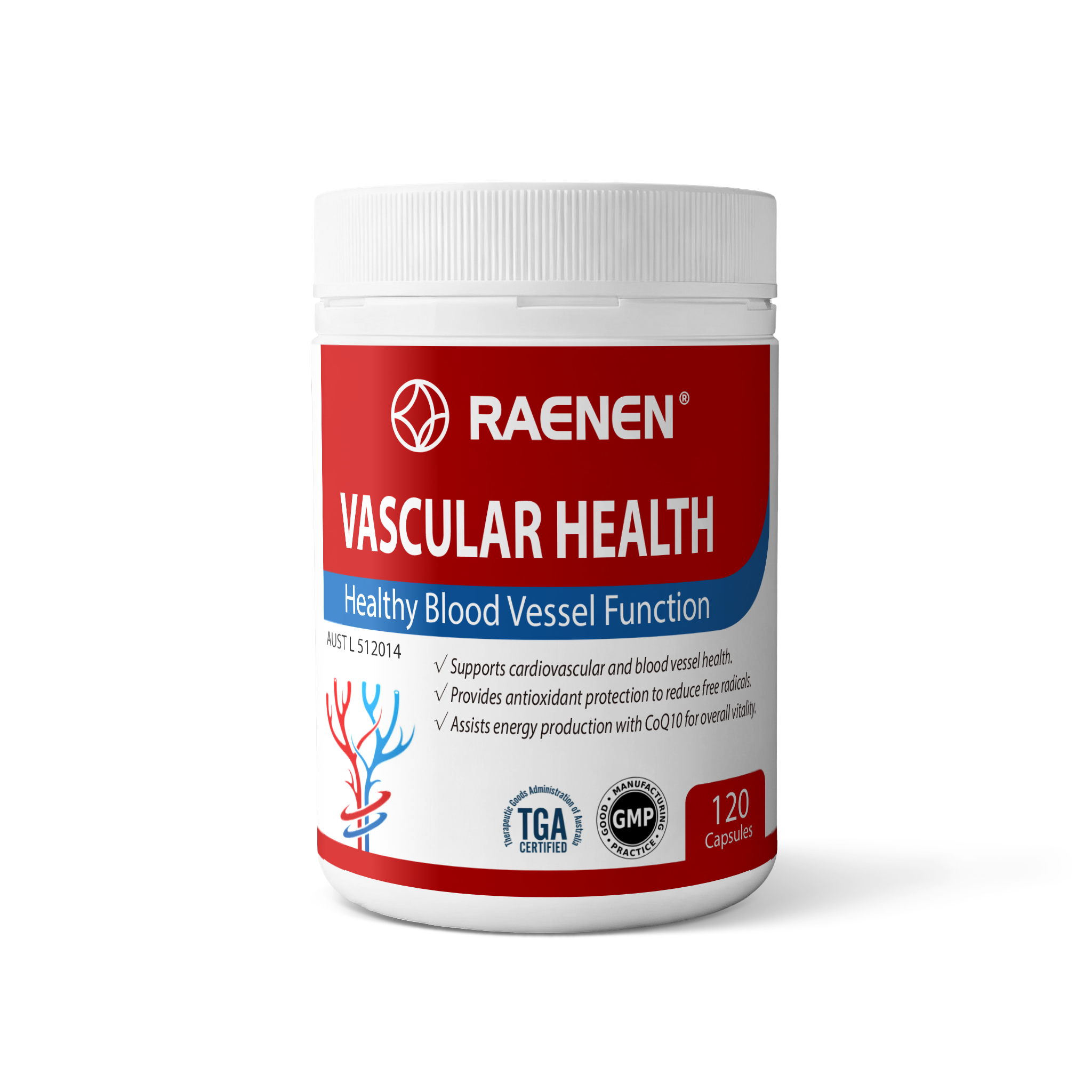 Vascular Health