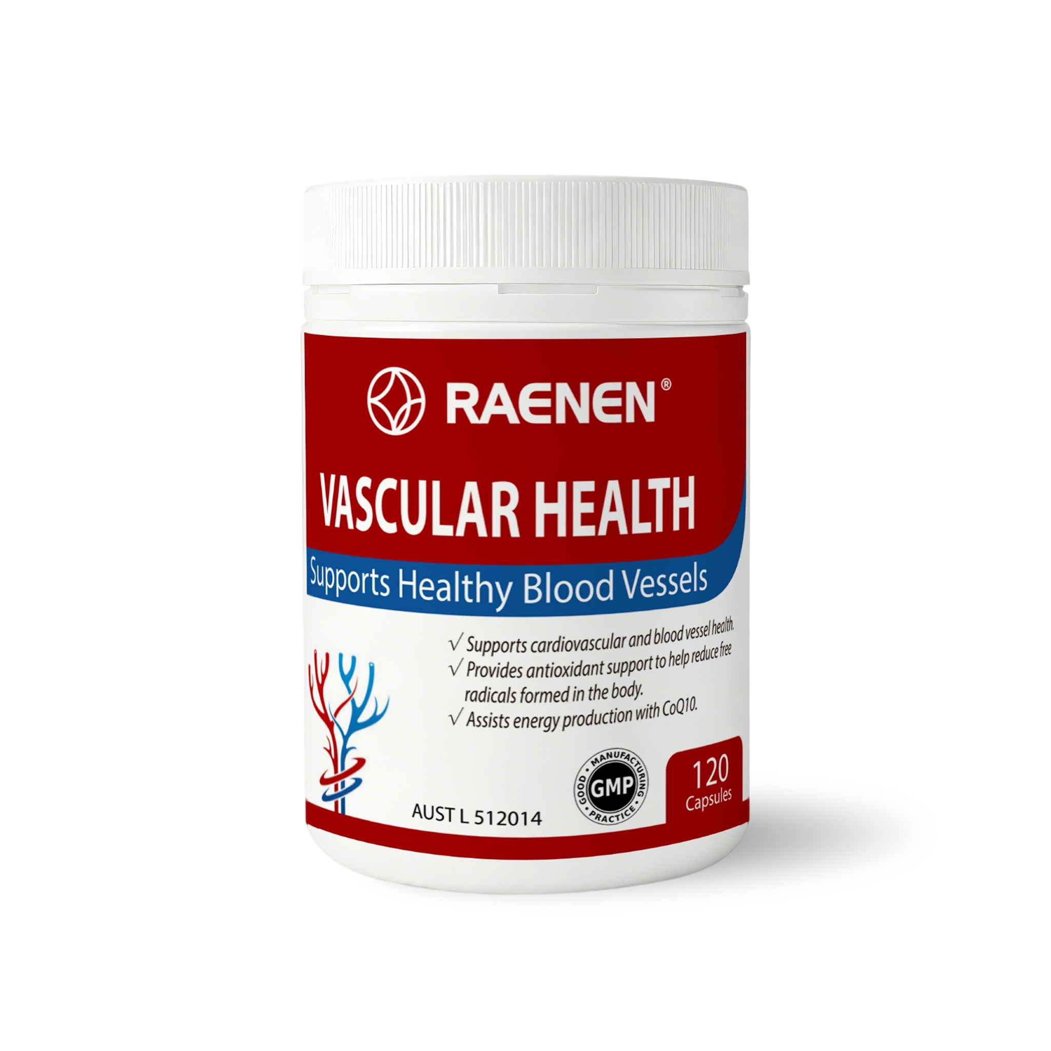 Vascular Health